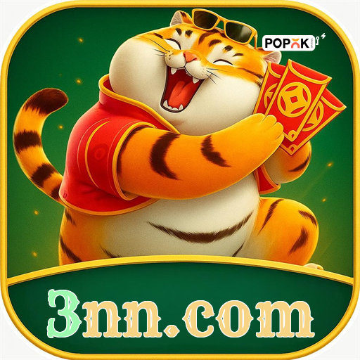 3nn.com